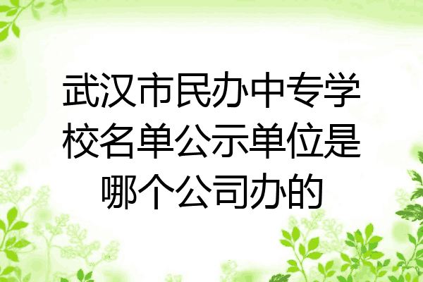 武汉市民办中专学校名单公示单位是哪个公司办的