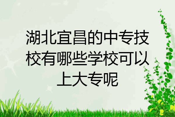 湖北宜昌的中专技校有哪些学校可以上大专呢