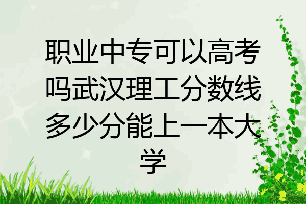 职业中专可以高考吗武汉理工分数线多少分能上一本大学