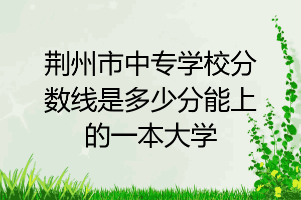 荆州市中专学校分数线是多少分能上的一本大学