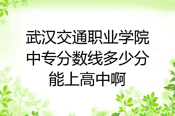 武汉交通职业学院中专分数线多少分能上高中啊