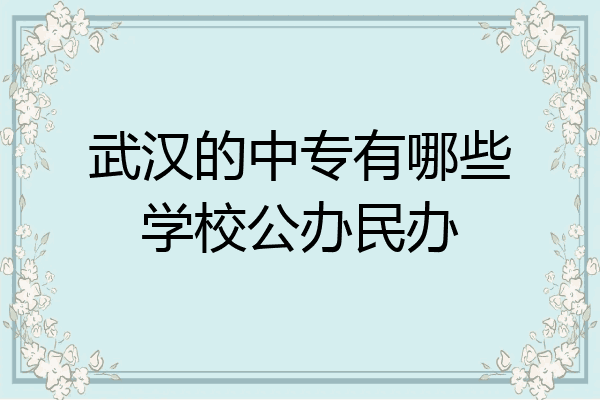 武汉的中专有哪些学校公办民办