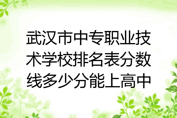 武汉市中专职业技术学校排名表分数线多少分能上高中