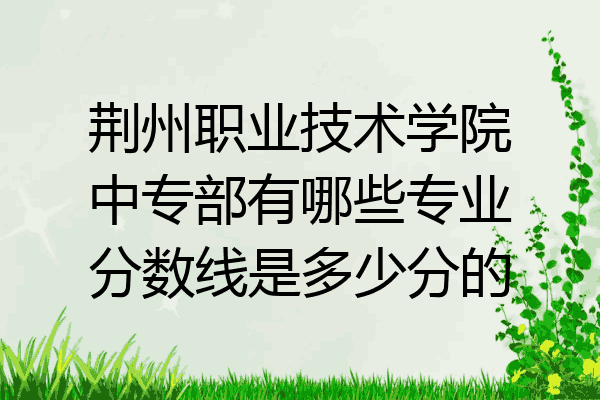 荆州职业技术学院中专部有哪些专业分数线是多少分的