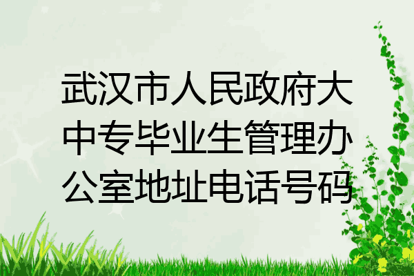 武汉市人民政府大中专毕业生管理办公室地址电话号码