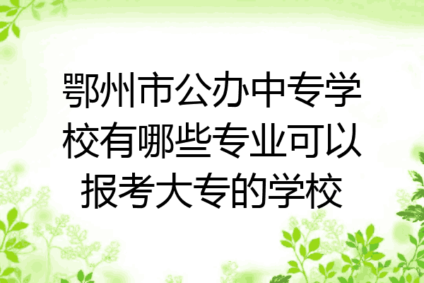 鄂州市公办中专学校有哪些专业可以报考大专的学校