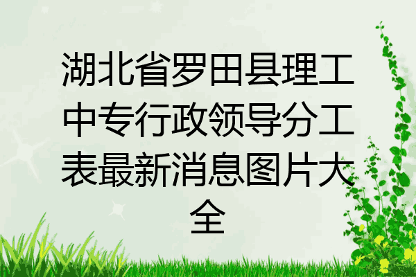 湖北省罗田县理工中专行政领导分工表最新消息图片大全