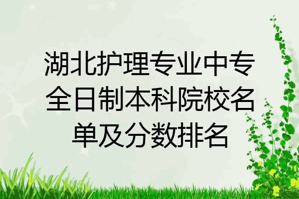 湖北护理专业中专全日制本科院校名单及分数排名