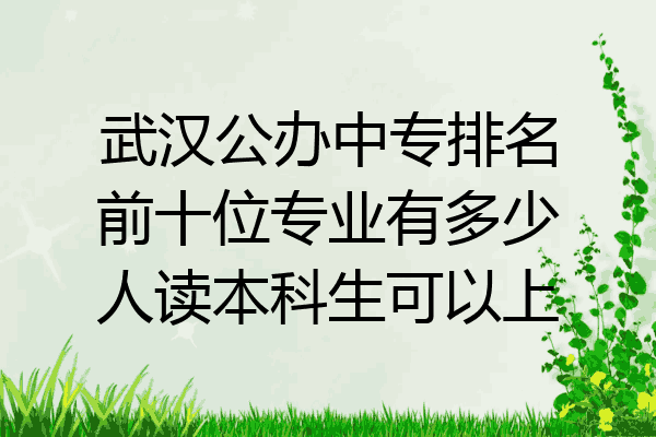 武汉公办中专排名前十位专业有多少人读本科生可以上