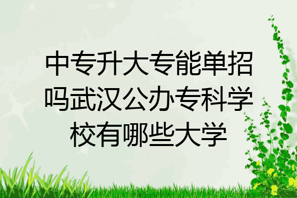 中专升大专能单招吗武汉公办专科学校有哪些大学