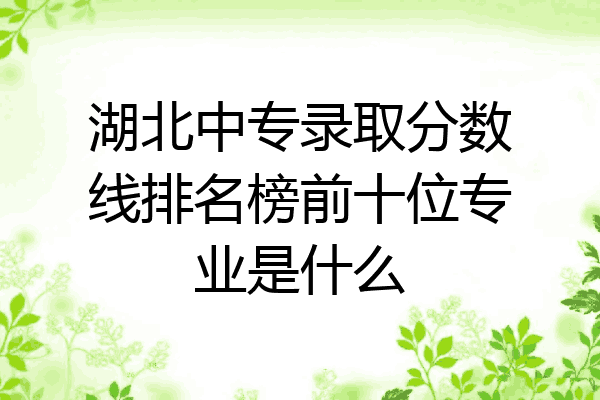湖北中专录取分数线排名榜前十位专业是什么