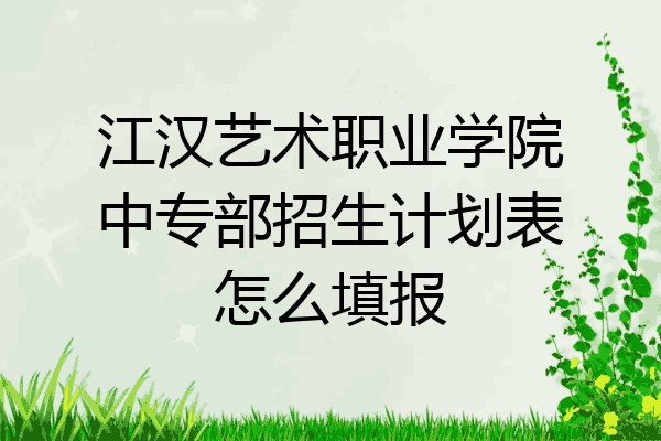 江汉艺术职业学院中专部招生计划表怎么填报