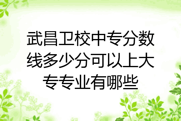 武昌卫校中专分数线多少分可以上大专专业有哪些