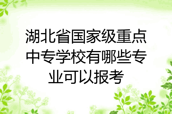 湖北省国家级重点中专学校有哪些专业可以报考