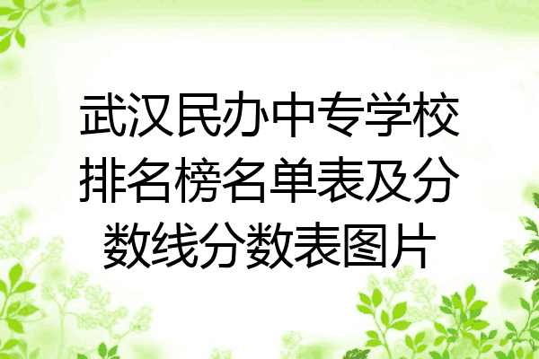 武汉民办中专学校排名榜名单表及分数线分数表图片