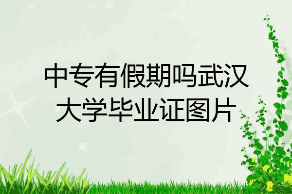 中专有假期吗武汉大学毕业证图片