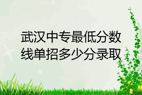 武汉中专最低分数线单招多少分录取