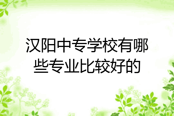 汉阳中专学校有哪些专业比较好的
