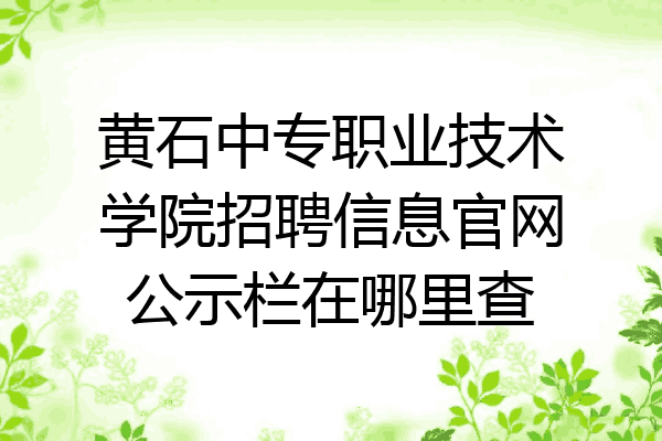 黄石中专职业技术学院招聘信息官网公示栏在哪里查