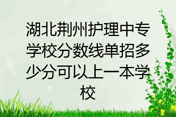 湖北荆州护理中专学校分数线单招多少分可以上一本学校