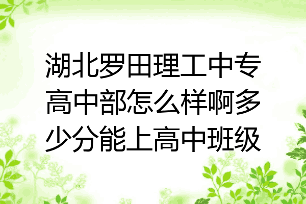 湖北罗田理工中专高中部怎么样啊多少分能上高中班级