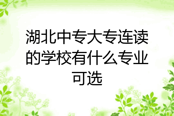 湖北中专大专连读的学校有什么专业可选
