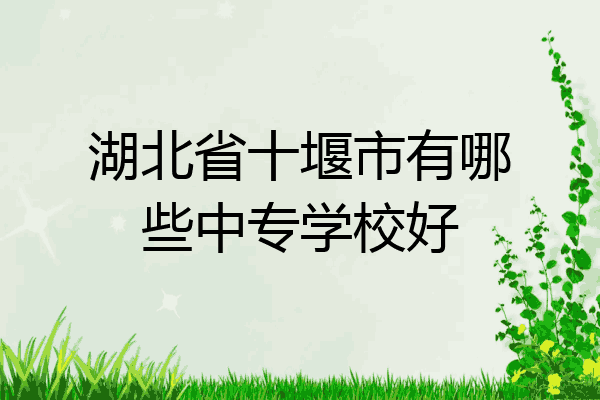 湖北省十堰市有哪些中专学校好