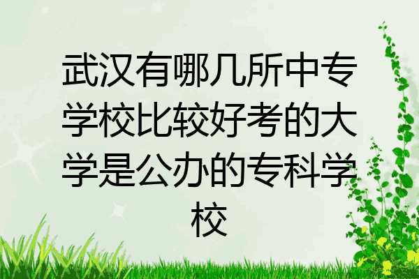 武汉有哪几所中专学校比较好考的大学是公办的专科学校