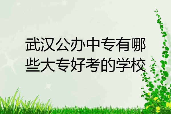 武汉公办中专有哪些大专好考的学校