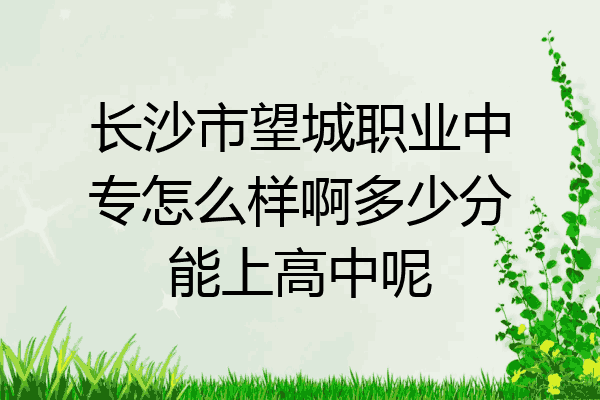 长沙市望城职业中专怎么样啊多少分能上高中呢