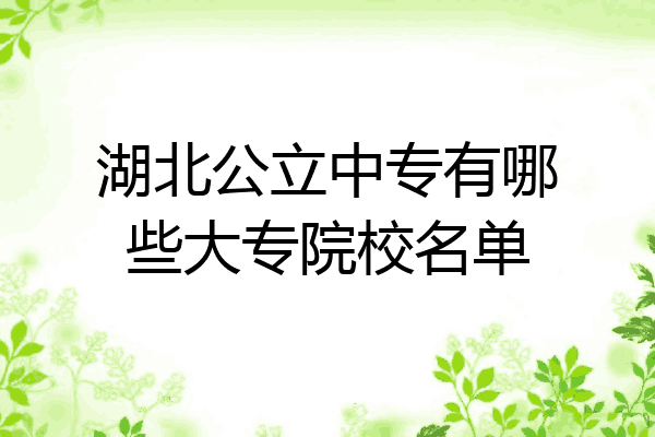湖北公立中专有哪些大专院校名单