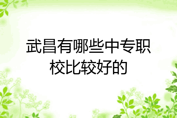 武昌有哪些中专职校比较好的
