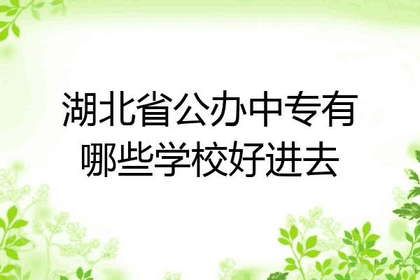 湖北省公办中专有哪些学校好进去