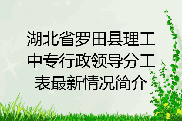 湖北省罗田县理工中专行政领导分工表最新情况简介