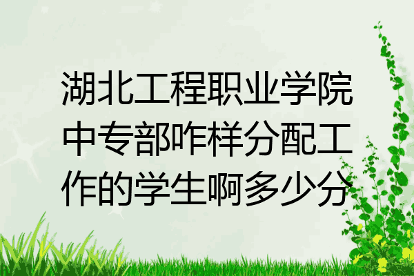 湖北工程职业学院中专部咋样分配工作的学生啊多少分