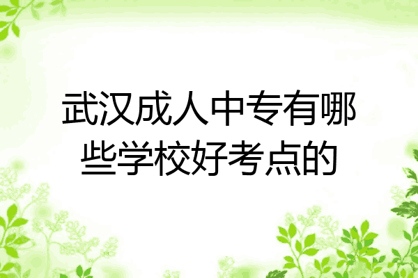 武汉成人中专有哪些学校好考点的