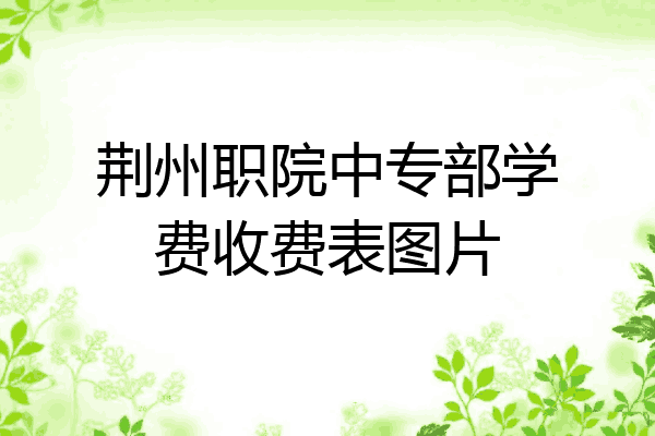 荆州职院中专部学费收费表图片
