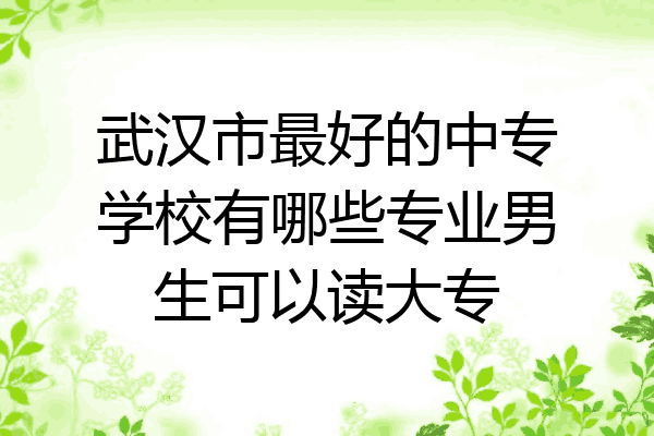 武汉市最好的中专学校有哪些专业男生可以读大专