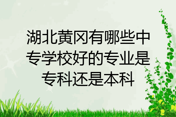 湖北黄冈有哪些中专学校好的专业是专科还是本科