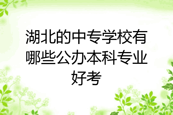 湖北的中专学校有哪些公办本科专业好考