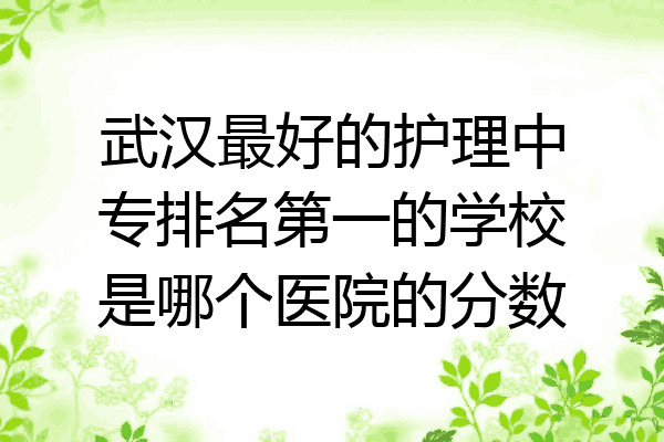 武汉最好的护理中专排名第一的学校是哪个医院的分数