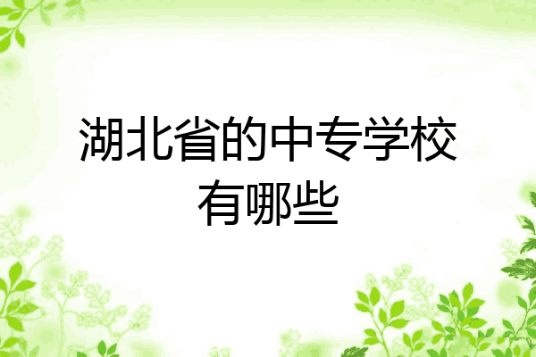 湖北省的中专学校有哪些