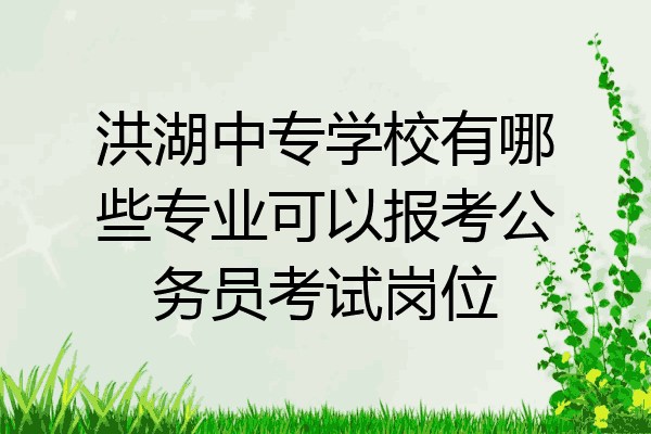 洪湖中专学校有哪些专业可以报考公务员考试岗位