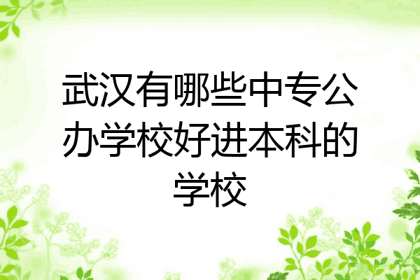武汉有哪些中专公办学校好进本科的学校
