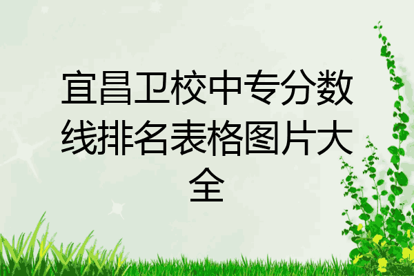 宜昌卫校中专分数线排名表格图片大全