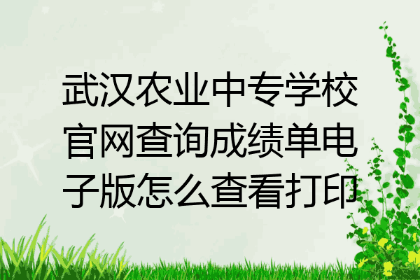 武汉农业中专学校官网查询成绩单电子版怎么查看打印