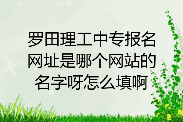 罗田理工中专报名网址是哪个网站的名字呀怎么填啊