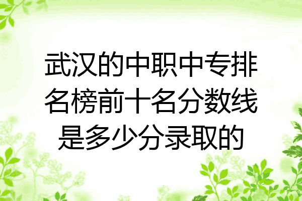 武汉的中职中专排名榜前十名分数线是多少分录取的