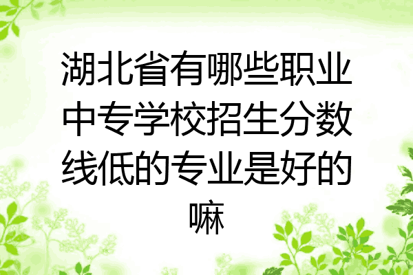 湖北省有哪些职业中专学校招生分数线低的专业是好的嘛