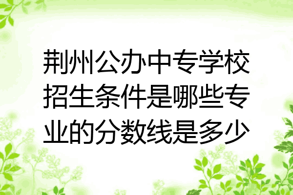 荆州公办中专学校招生条件是哪些专业的分数线是多少